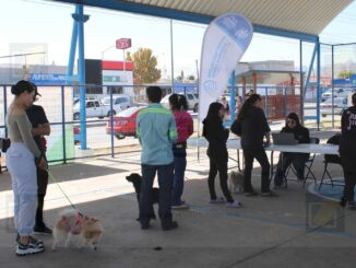 Acerca Municipio servicios gratuitos para animales de compañía a familias de Riberas de Sacramento