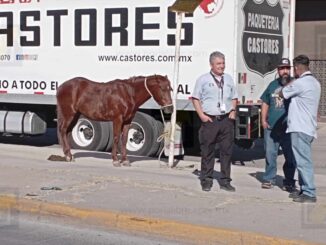 Carreta protagoniza accidente múltiple en la avenida de las Industrias