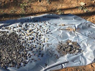 Localizan fragmentos óseos y evidencia en rastreo efectuado en Madera