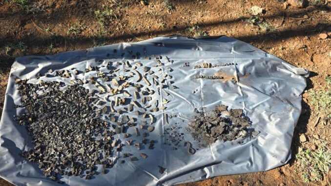 Localizan fragmentos óseos y evidencia en rastreo efectuado en Madera