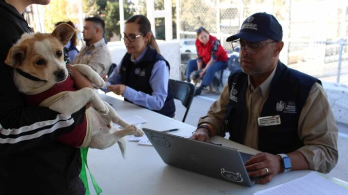 Acerca Municipio servicios gratuitos para animales de compañía en colonia Cerro de la Cruz