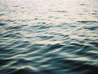 México ajusta entregas de agua del Río Bravo a EE.UU. conforme a disponibilidad hídrica