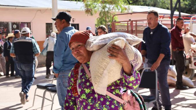 Distribuye Estado 92 toneladas de maíz y frijol a habitantes de la Sierra Tarahumara