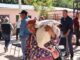 Distribuye Estado 92 toneladas de maíz y frijol a habitantes de la Sierra Tarahumara