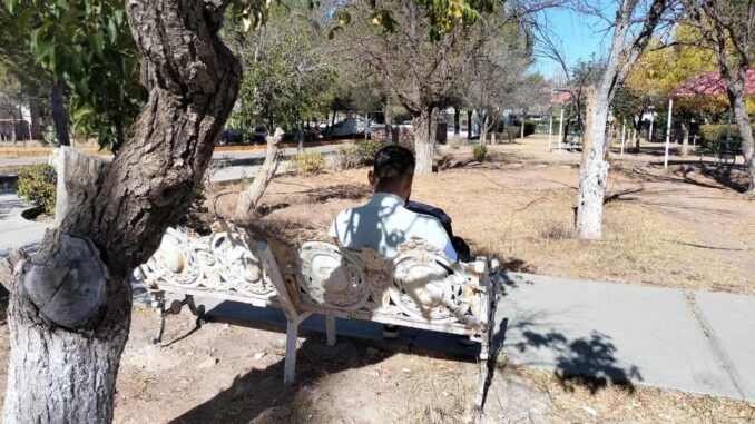 Recomienda Secretaría de Salud adoptar hábitos saludables ante riesgo de depresión en temporada decembrina