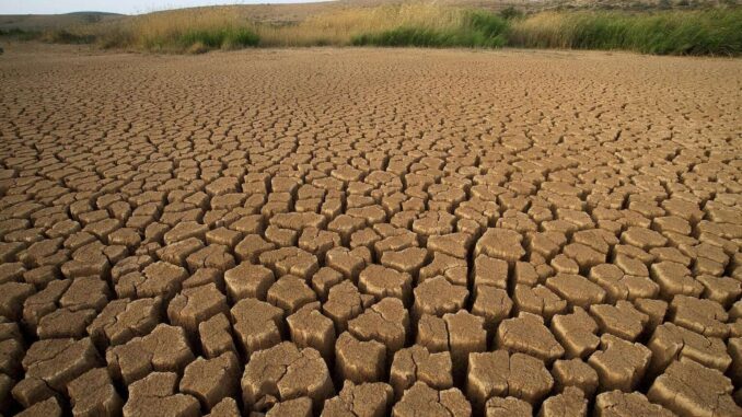 El informe anual de World Weather Attribution describe el «panorama desolador» de 2025