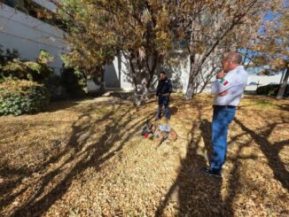 Certifican a binomios caninos de la FGE en Ciudad Juárez