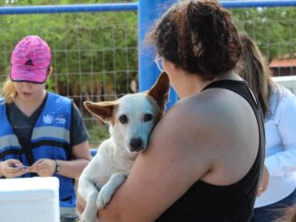 Más de 6 mil 600 vacunas y 5 mil desparasitaciones aplicó Municipio a perros y gatos este año