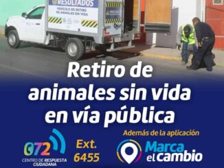 Municipio brinda servicio de retiro de animales sin vida en la vía pública