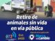Municipio brinda servicio de retiro de animales sin vida en la vía pública