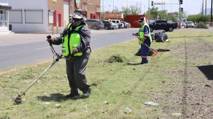 Municipio recoge más de 3 mil toneladas de desechos en vialidades durante 2025