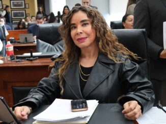 Acertado el decreto que termina con la nacionalización de autos “chocolate”: Diputada María Antonieta Pérez Reyes
