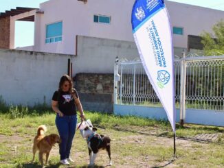 Acercó Municipio más de 500 servicios gratuitos para mascotas en Labor de Terrazas
