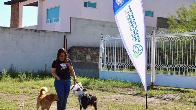 Acercó Municipio más de 500 servicios gratuitos para mascotas en Labor de Terrazas