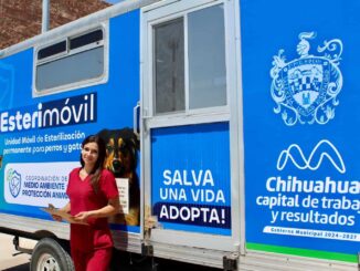 Atenderá Esterimóvil de Municipio a perros y gatos en centro comunitario Chihuahua 2000