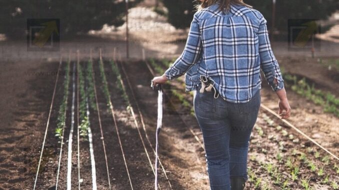 Invita Saúl Mireles a inscribirse en el reconocimiento “Mujer Rural 2025”