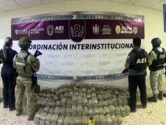 Aseguran en operativo conjunto cerca de 300 kilos de marihuana en casa de Granjas Cerro Grande