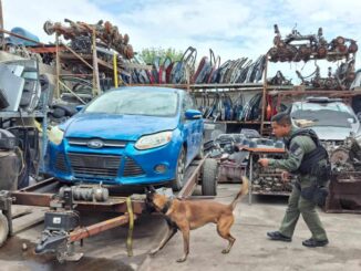 Realizan células BOI supervisiones en yonkes para descartar irregularidades y uso de sustancias nocivas