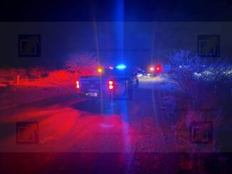 Sujeto armado con un machete hiere a ejemplar K9; le disparan