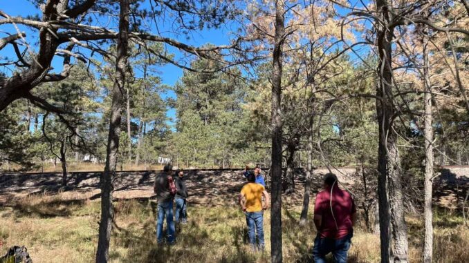 Intensifica Desarrollo Rural acciones para el combate y control de plagas forestales