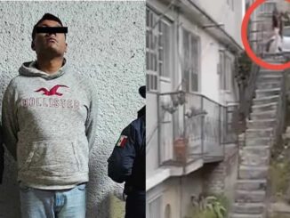 Dictan prisión preventiva a hombre acusado de arrojar al perro «Lobito» desde 10 metros de altura