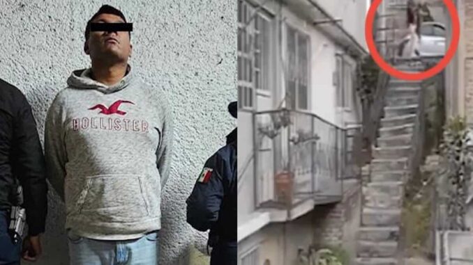 Dictan prisión preventiva a hombre acusado de arrojar al perro «Lobito» desde 10 metros de altura