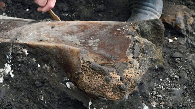 Hallan fósiles de perezoso gigante y mastodonte en Costa Rica