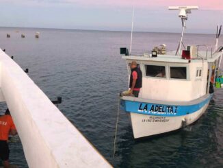 Marina asegura embarcación con 130 kilos de tiburón por pesca ilegal en Islas Marías