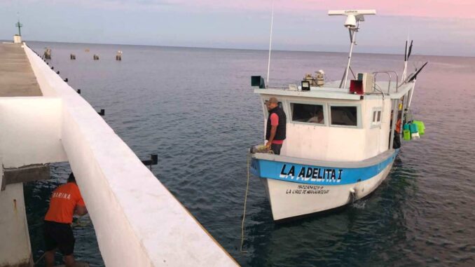Marina asegura embarcación con 130 kilos de tiburón por pesca ilegal en Islas Marías
