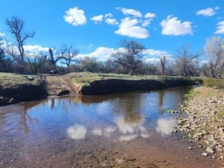 Realizan pruebas de contaminación en el río Sonora tras derrame de 2014