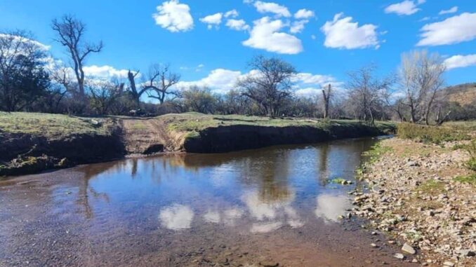 Realizan pruebas de contaminación en el río Sonora tras derrame de 2014