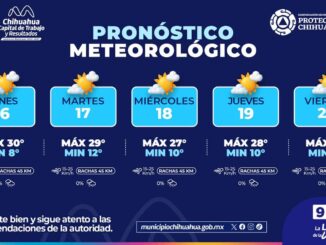 Semana con temperaturas cálidas y presencia de viento ligero en la capital 