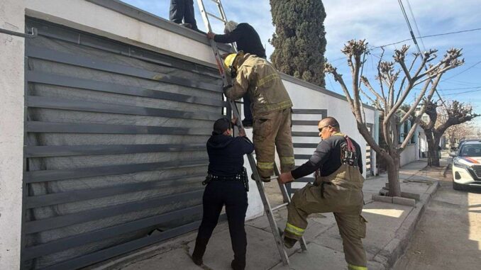 Rescatan a adulto mayor tras incendio en vivienda de la colonia Hidalgo