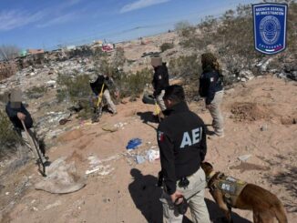 Localiza FGE osamenta durante rastreo en Portal del Roble en Cd. Juárez