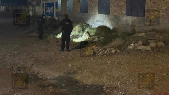 Localizan a hombre sin vida a un costado de dulcería en la carretera Aldama