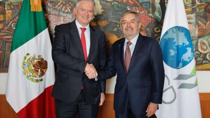 Canciller De la Fuente se reúne con el secretario de la OCDE, Mathias Cormann