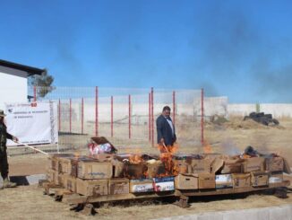 Destruyen FGE y Sedena 231 kilos de droga en combate al narcomenudeo