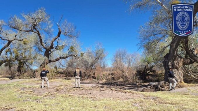 Realiza FGE Noroeste operativo para la búsqueda de personas desparecidas en Casas Grandes