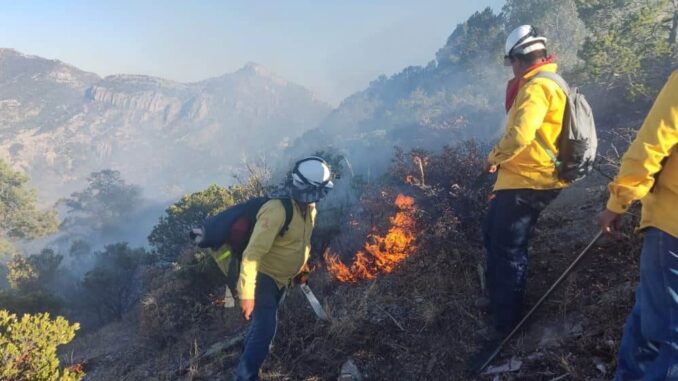 Llama SDR a reforzar medidas de prevención contra incendios forestales