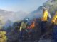 Llama SDR a reforzar medidas de prevención contra incendios forestales
