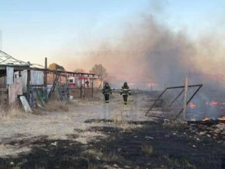 Incendio consume más de una hectárea en colonia Sacramento