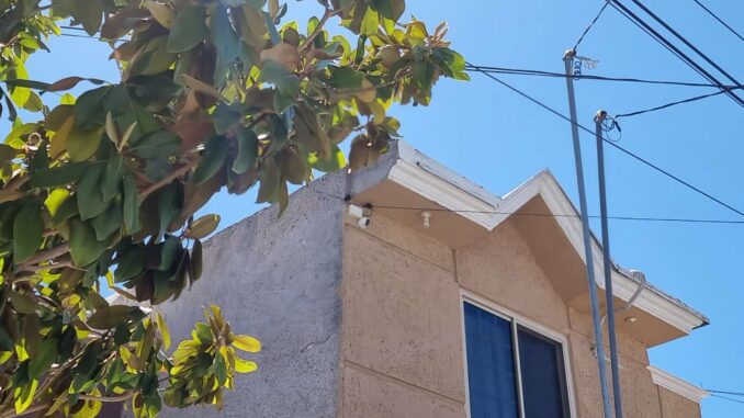 Más de mil 800 ciudadanos han conectado sus cámaras a PECUU