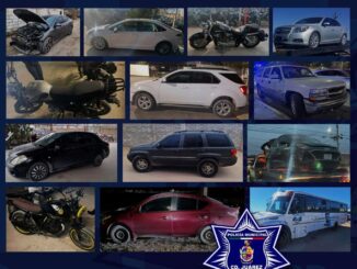 Aseguran 15 vehículos robados durante operativo en distintos sectores