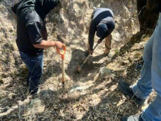 Localiza Fiscalía Zona Sur restos óseos durante rastreo en carretera a Guadalupe y Calvo