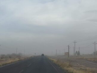 Prevén viento y descenso de temperatura para las próximas horas