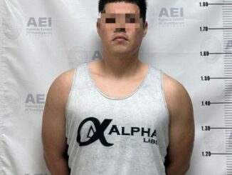 Ejecutan FEM, AEI y Sedena cateo y orden de aprehensión por delitos de género en Nuevo Casas Grandes