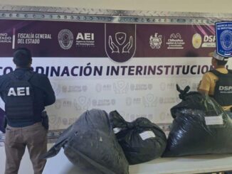 Asegura AEI 34 kilogramos de mariguana en la carretera a Aldama
