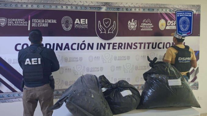 Asegura AEI 34 kilogramos de marihuana en la carretera a Aldama