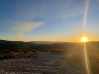 Emiten aviso preventivo por ola de calor las próximas 72 horas