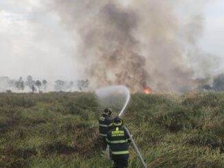 Incendio en Xochimilco arrasa con casi 8 hectáreas de vegetación